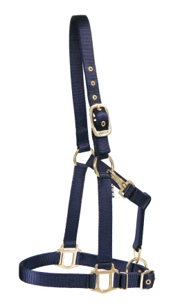ZEETA INTERNATIONAL DS Heavy Nylon Halter- Halters
