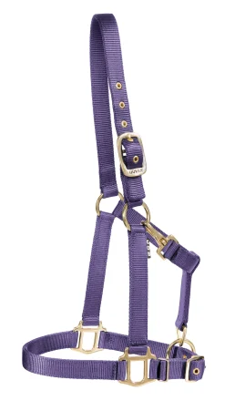 ZEETA INTERNATIONAL DS Heavy Nylon Halter- Halters