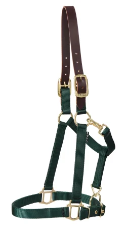 ZEETA INTERNATIONAL DS Heavy Nylon Breakaway Halter- Halters