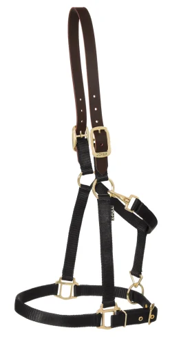ZEETA INTERNATIONAL DS Heavy Nylon Breakaway Halter- Halters
