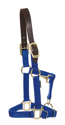 ZEETA INTERNATIONAL DS Heavy Nylon Breakaway Halter- Halters