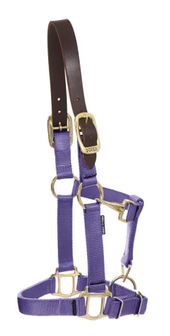 ZEETA INTERNATIONAL DS Heavy Nylon Breakaway Halter- Halters