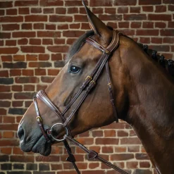 KENTUCKY HORSEWEAR Dy'on® Anatomic Bridle- English Bridles