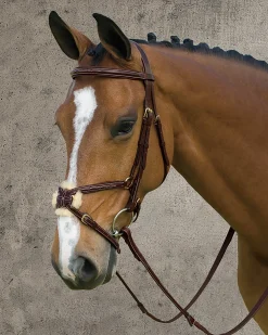 KENTUCKY HORSEWEAR Dy'on® Figure-8 Bridle- English Bridles