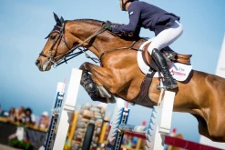 EQUIFIT ® Anatomical BellyGuard Girth with T-Foam™ Liner- Girths & Accessories