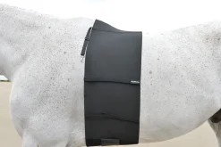 EQUIFIT ® BellyBand™- Girths & Accessories