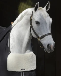 EQUIFIT ® BlanketBib- Blanket Wash & Accessories