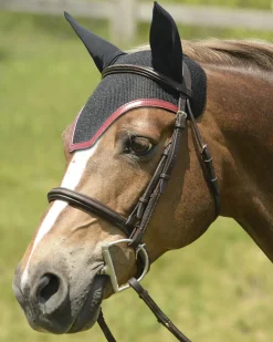 EQUIFIT ® Ear Bonnet with Colored Trim and No Logo- Ear Bonnets|Ear Bonnets