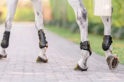EQUIFIT ® Eq-Teq™ Hind Boots- Horse Boots