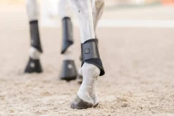 EQUIFIT ® Essential EveryDay Hind Boot- Horse Boots