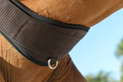 EQUIFIT ® Essential Schooling Girth with SheepsWool™ Liner- Girths & Accessories