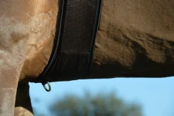 EQUIFIT ® Essential Schooling Girth with SheepsWool™ Liner- Girths & Accessories