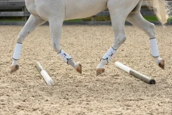 EQUIFIT ® MultiTeq SheepsWool Tall Hind Boots- Horse Boots