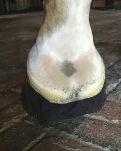 EQUIFIT ® Pack-N-Stick HoofTape- Hoof Topicals