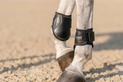 EQUIFIT ® Young Horse Boots with ImpacTeq®- Horse Boots