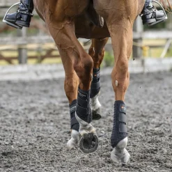 WORLD EQUSTRN BRNDS Equilibrium Stretch & Flex Flatwork Wraps- Horse Boots