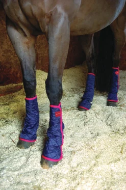 WORLD EQUSTRN BRNDS Equilibrium Therapy® Magnetic Chaps- Therapy|Hoof & Hock Boots