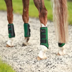 WORLD EQUSTRN BRNDS Equilibrium Tri-Zone Impact Hind Boots- Horse Boots