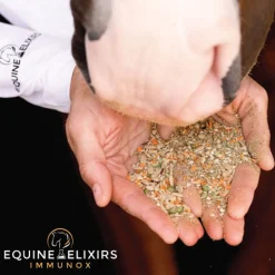 EQUINE ELIXIRS INC Equine Elixirs Immunox®- Horse Supplements