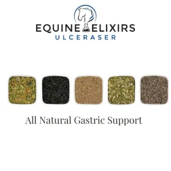 EQUINE ELIXIRS INC Equine Elixirs Ulceraser®- Horse Supplements