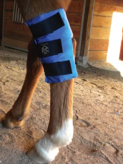 EZ ICE Hock Wrap- Therapy|Hoof & Hock Boots