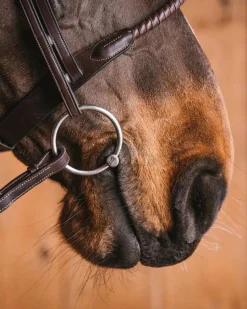 ELITE EQUESTRIAN SUP Fager Emil Titanium Loose Ring Bit, 16mm Mouth- English Horse Bits