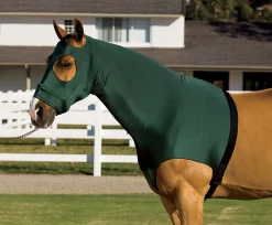 INT RIDING HELMET Flex Rider® Stretchies™ Hood- Blanket Liners