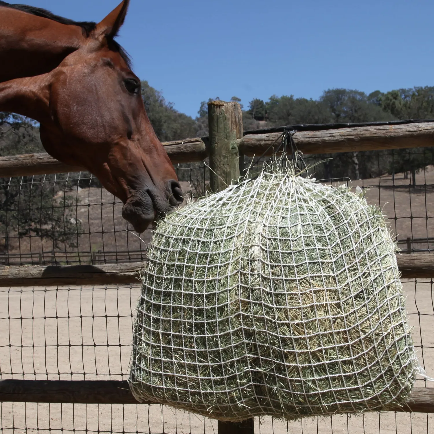 KENSINGTON Freedom Feeder Day Net- Stable Hardware
