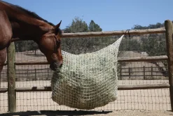 KENSINGTON Freedom Feeder® Extended Day Net - 1"- Stable Hardware