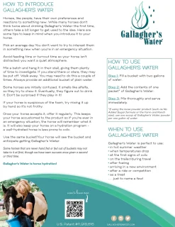 EQUESTRIBEV Gallagher’s Water™ All-Natural Equine Hydration Beverage NO SUGAR ADDED- Horse Supplements