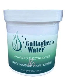 EQUESTRIBEV Gallagher’s Water™ Balanced Electrolytes & Trace Minerals- Horse Supplements