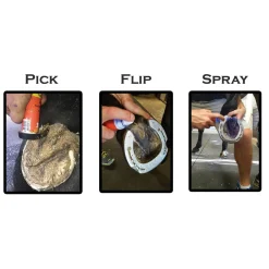 RJ MATTHEWS Groom’s Hand Thrush Solution®- Hoof Topicals