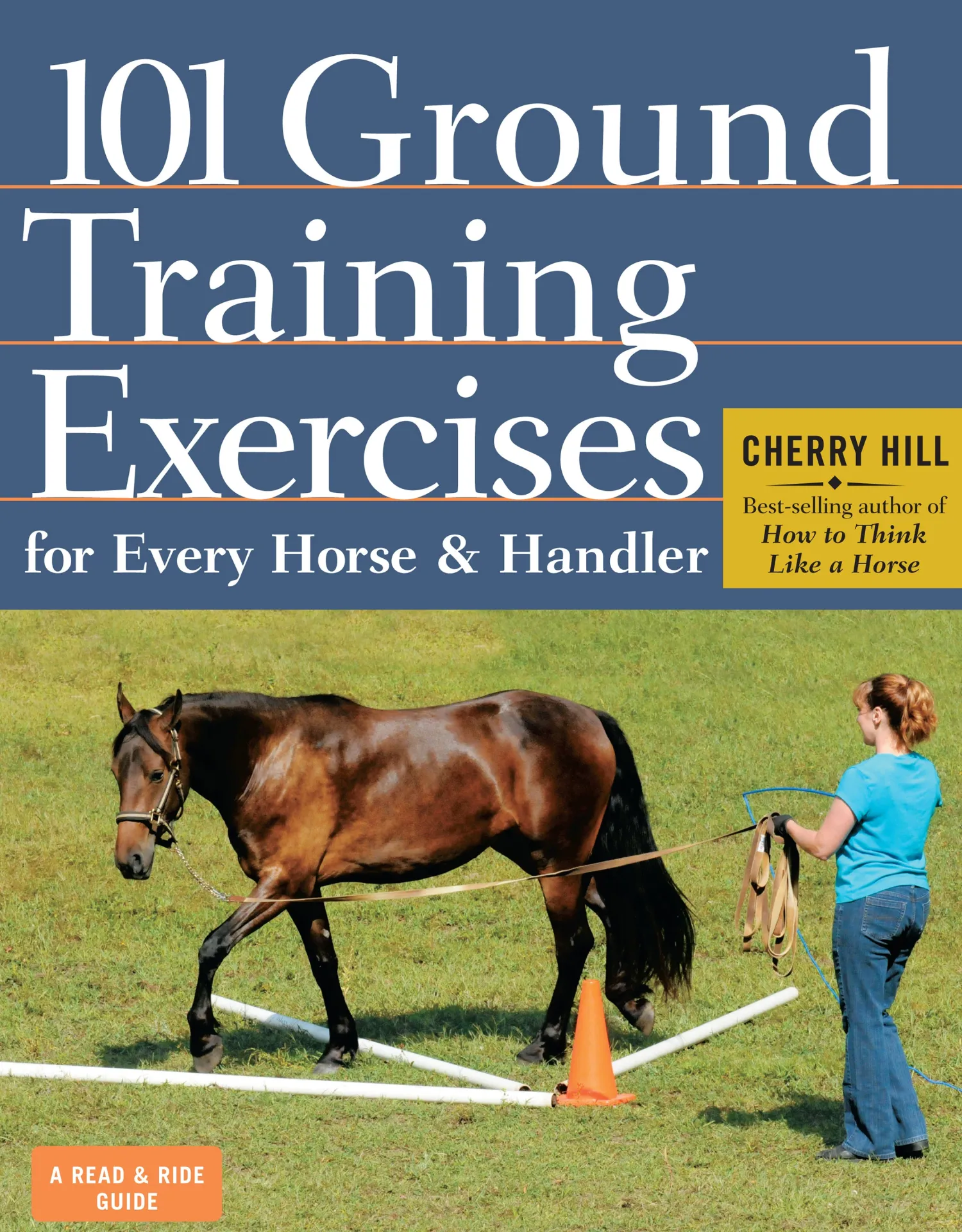 HACHETTE BOOK GROUP Ground Training Exercises- Books & Dvds