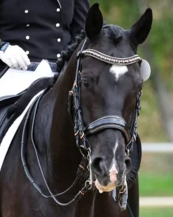 HALTER EGO Aurelia Rose Gold Black Patent Double Bridle- English Bridles