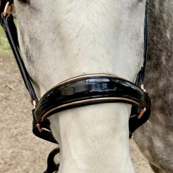 HALTER EGO ® Catalonia Halter- Halters