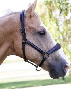 HALTER EGO ® Doc Marten Padded Halter- Halters