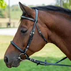 JPC EQUESTRIAN Henri de Rivel Clincher Bridle- English Bridles