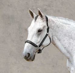 JPC EQUESTRIAN Henri de Rivel Padded Leather Crystal Halter- Halters