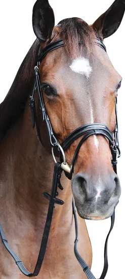 JPC EQUESTRIAN Henri de Rivel Piaffe Mono Crown Bridle with Flash Noseband & Patent Leather- English Bridles