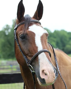 JPC EQUESTRIAN Henri de Rivel Pro Fancy Raised Bridle with Laced Reins- English Bridles