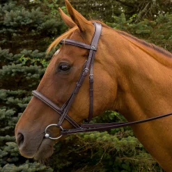JPC EQUESTRIAN Henri de Rivel Pro Mono Crown Fancy-Stitched Padded Bridle with Laced Reins- English Bridles