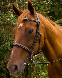 JPC EQUESTRIAN Henri de Rivel Pro Mono Crown Fancy-Stitched Padded Bridle with Laced Reins- English Bridles
