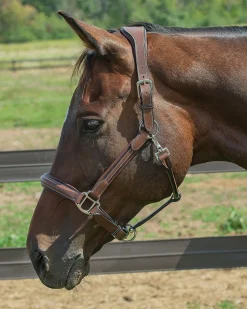 JPC EQUESTRIAN Henri de Rivel Stress Free Halter with Fancy Contrast Stitching- Halters