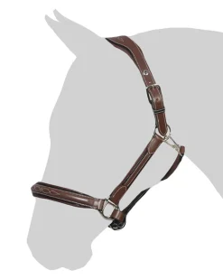 JPC EQUESTRIAN Henri de Rivel Stress Free Halter with Fancy Contrast Stitching- Halters