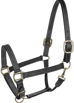 JPC EQUESTRIAN Henri de Rivel Triple-Stitched Halter- Halters