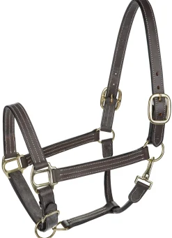JPC EQUESTRIAN Henri de Rivel Triple-Stitched Halter- Halters