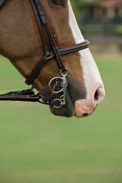 GEM-HERM SPRENGER Herm Sprenger® Pelham Converters- Bit Accessories