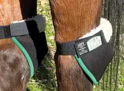 CLICK HORSE PRODUCTS Hock Shield- Therapy|Hoof & Hock Boots