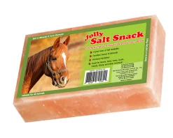 ANIMAL HEALTH INT Horsemen’s Pride™ Jolly Salt Snack Brick- Salt Licks & Holders