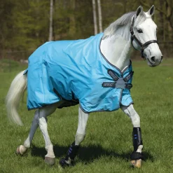 HORSEWARE ® Amigo® Hero 900 Lite Net Lined Turnout with Disc Front- Turnout Blankets